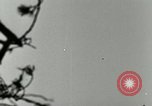 Image of German A-4 missile test Peenemunde Germany, 1944, second 32 stock footage video 65675077644