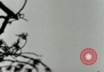 Image of German A-4 missile test Peenemunde Germany, 1944, second 34 stock footage video 65675077644