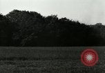 Standbild Deutsche Wasserfall Rakete Crash Peenemunde Deutschland, 1944, aus Sekunde 48 historischem Filmmaterial Videoclip 65675077648