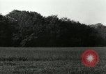 Standbild Deutsche Wasserfall Rakete Crash Peenemunde Deutschland, 1944, aus Sekunde 52 historischem Filmmaterial Videoclip 65675077648