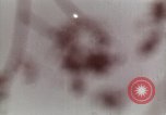 Standbild Deutsche V-2 Rakete Peenemunde Deutschland, 1944, aus Sekunde 24 historischem Filmmaterial Videoclip 65675077676