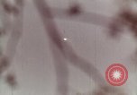 Standbild Deutsche V-2 Rakete Peenemunde Deutschland, 1944, aus Sekunde 26 historischem Filmmaterial Videoclip 65675077676