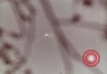 Standbild Deutsche V-2 Rakete Peenemunde Deutschland, 1944, aus Sekunde 28 historischem Filmmaterial Videoclip 65675077676