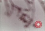 Standbild Deutsche V-2 Rakete Peenemunde Deutschland, 1944, aus Sekunde 33 historischem Filmmaterial Videoclip 65675077676