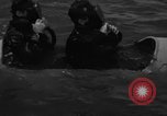 Image of Italian SSB torpedo Italy, 1945, second 41 stock footage video 65675077690