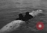 Image of Italian SSB torpedo Italy, 1945, second 44 stock footage video 65675077690