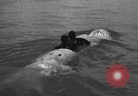 Image of Italian SSB torpedo Italy, 1945, second 46 stock footage video 65675077690