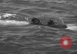 Image of Italian SSB torpedo Italy, 1945, second 52 stock footage video 65675077690