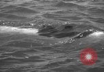 Image of Italian SSB torpedo Italy, 1945, second 53 stock footage video 65675077690