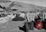Image of United States Marines Australia, 1945, second 40 stock footage video 65675077693