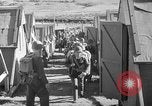 Image of United States Marines Australia, 1945, second 54 stock footage video 65675077693