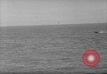 Image des Marines des États-Unis Îles Salomon, 1943, de la seconde 29 séquences d'archives historiques vidéo 65675077696