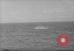 Image des Marines des États-Unis Îles Salomon, 1943, de la seconde 32 séquences d'archives historiques vidéo 65675077696