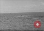 Image des Marines des États-Unis Îles Salomon, 1943, de la seconde 35 séquences d'archives historiques vidéo 65675077696