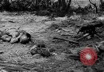Immagine di Prigionieri giapponese Isole Salomone, 1945, secondo 7 filmato di repertorio 65675077697