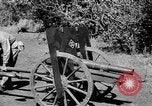 Standbild Maschinengewehr Salomonen, 1945, aus Sekunde 29 historischem Filmmaterial Videoclip 65675077698