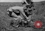 Image Flame Thrower Îles Salomon, 1945, de la seconde 6 séquences d'archives historiques vidéo 65675077699