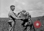 Image Flame Thrower Îles Salomon, 1945, de la seconde 12 séquences d'archives historiques vidéo 65675077699