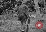 Image fusil japonais Îles Salomon, 1945, de la seconde 3 séquences d'archives historiques vidéo 65675077700