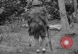 Image fusil japonais Îles Salomon, 1945, de la seconde 4 séquences d'archives historiques vidéo 65675077700