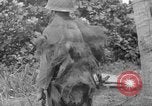 Image fusil japonais Îles Salomon, 1945, de la seconde 9 séquences d'archives historiques vidéo 65675077700