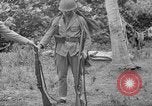Image fusil japonais Îles Salomon, 1945, de la seconde 11 séquences d'archives historiques vidéo 65675077700