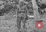 Image fusil japonais Îles Salomon, 1945, de la seconde 14 séquences d'archives historiques vidéo 65675077700