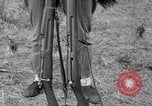 Image fusil japonais Îles Salomon, 1945, de la seconde 20 séquences d'archives historiques vidéo 65675077700