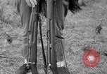Image fusil japonais Îles Salomon, 1945, de la seconde 21 séquences d'archives historiques vidéo 65675077700