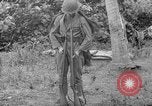 Image fusil japonais Îles Salomon, 1945, de la seconde 30 séquences d'archives historiques vidéo 65675077700