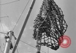 Image of food crates Solomon Islands, 1945, second 30 stock footage video 65675077702