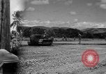 Image of P-40 aircraft Solomon Islands, 1945, second 1 stock footage video 65675077703