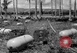 Image of P-40 aircraft Solomon Islands, 1945, second 32 stock footage video 65675077703