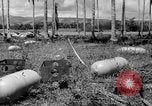 Image of P-40 aircraft Solomon Islands, 1945, second 35 stock footage video 65675077703