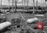Image of P-40 aircraft Solomon Islands, 1945, second 36 stock footage video 65675077703