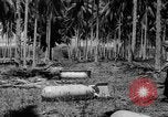 Image of P-40 aircraft Solomon Islands, 1945, second 39 stock footage video 65675077703