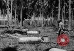 Image of P-40 aircraft Solomon Islands, 1945, second 40 stock footage video 65675077703