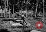 Image of P-40 aircraft Solomon Islands, 1945, second 42 stock footage video 65675077703