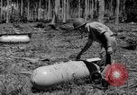 Image of P-40 aircraft Solomon Islands, 1945, second 43 stock footage video 65675077703