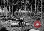 Image of P-40 aircraft Solomon Islands, 1945, second 45 stock footage video 65675077703