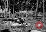 Image of P-40 aircraft Solomon Islands, 1945, second 46 stock footage video 65675077703