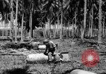 Image of P-40 aircraft Solomon Islands, 1945, second 47 stock footage video 65675077703