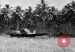 Image of P-40 aircraft Solomon Islands, 1945, second 61 stock footage video 65675077703