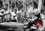 Image of United States Marines Solomon Islands, 1945, second 10 stock footage video 65675077704