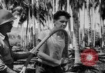 Image of United States Marines Solomon Islands, 1945, second 16 stock footage video 65675077704