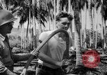 Image of United States Marines Solomon Islands, 1945, second 17 stock footage video 65675077704