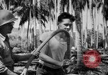 Image of United States Marines Solomon Islands, 1945, second 18 stock footage video 65675077704