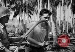 Image of United States Marines Solomon Islands, 1945, second 19 stock footage video 65675077704