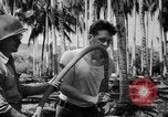 Image of United States Marines Solomon Islands, 1945, second 20 stock footage video 65675077704