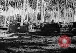 Image of United States Marines Solomon Islands, 1945, second 21 stock footage video 65675077704